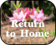 Return 
to  Home